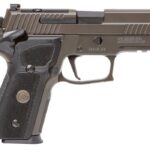 SIG SAUER P229 LEGION 9MM SAO 15+1 OR | Elite Firearms