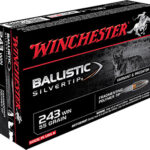 Winchester Ammo SBST243 Ballistic Silvertip 243 Win 55 gr Fragmenting Polymer Tip 20 Per Box/ 10 Cs | Elite Firearms