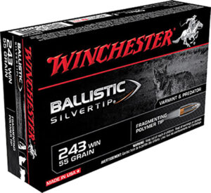 Winchester Ammo SBST243 Ballistic Silvertip 243 Win 55 gr Fragmenting Polymer Tip 20 Per Box/ 10 Cs | Elite Firearms