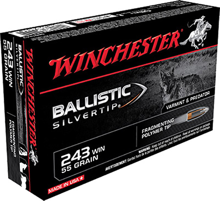 Winchester .243 Winchester 55gr Brass – 20rd