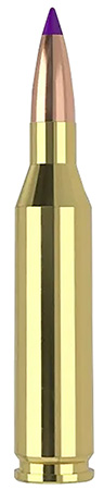 Nosler 40041 243 Win 70 gr Ballistic Tip Varmint 20 Per Box/ 10 Case | Elite Firearms
