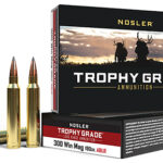 Nosler 60126 Trophy Grade Long-Range 300 Win Mag 190 gr Nosler Spitzer AccuBond Long Range 20 Per Box/ 10 Case