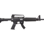 RIA IMPORTS M22 22LR 18" 10RD | Elite Firearms