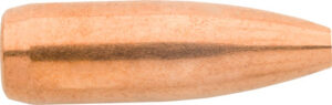 Sierra 1390 GameKing  .22 Cal .224 55 gr Hollow Point Boat Tail/ 100 Per Box | Elite Firearms