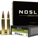 Nosler 40038 E-Tip 300 Win Mag 180 gr E Tip Lead Free 20 Per Box/ 10 Case | Elite Firearms