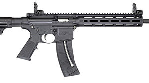 Smith & Wesson 14375 M&P15-22 Sport Bundle .22 LR 25+1 16.50" Black Threaded Barrel Polymer Receiver Black Handguard Grip