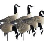 Higdon Outdoors APEX Full-Size Full-Body Variety Pack - Canada Goose | Elite Firearms