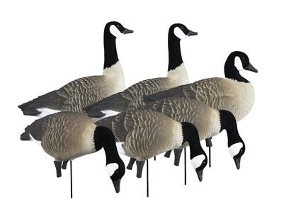 Higdon Outdoors APEX Full-Size Full-Body Variety Pack - Canada Goose | Elite Firearms