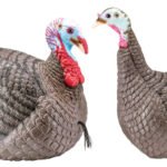 HS Strut 100005 Strut-Lite Jake & Hen Combo Wild Turkey Species Multi Color Synthetic | Elite Firearms