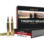 Nosler 60104 Trophy Grade Long-Range 7mmSTW 175gr Nosler Spitzer AccuBond Long Range 20 Per Box/10 Case | Elite Firearms