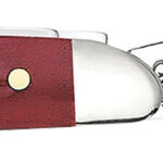 Case 00781 Peanut Medium 2.10"/1.53" Folding Clip Point/Pen Plain Mirror Polished Tru-Sharp SS Blade Corn Cob Jigged Old Red Bone Handle | Elite Firearms