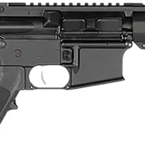 Hi-Point HP15P300BLK HP 15P 300 Blackout 10.50"