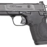 S&W CSX E-Series Handgun 9mm Luger 10(1)/12(1)/17(1)rd Magazines 3.1" Barrel Thumb Safety Black Slide | Elite Firearms