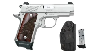 KIMBER 3300255 MICRO 9 SS RSWD  9MM 3.15"      RTC