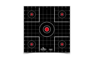 B/C DIRTY BIRD SIGHT IN TGT 12-12"