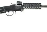 CHIAPPA LITTLE BADGER 17HMR 16.5" | Elite Firearms