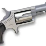 NAM MINI-REV 22LR 1.625SS MATT | Elite Firearms