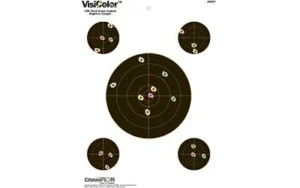 CHAMPION VISICOLOR SIGHTIN 8" 10PK