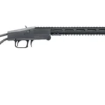 CHIAPPA BIG BADGER .410 20" 3" BLK | Elite Firearms