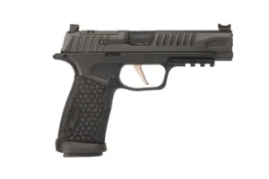 Sig Sauer 365XF9BFO10 P365 Fuse Compact Frame 9mm Luger 10+1 4.30" Black Nitron Optic Ready/Serrated Stainless Steel Slide Polymer Grip | Elite Firearms