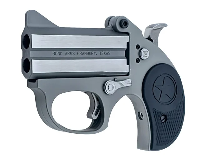 BOND ARMS STINGER 380ACP SS 3" FS | Elite Firearms