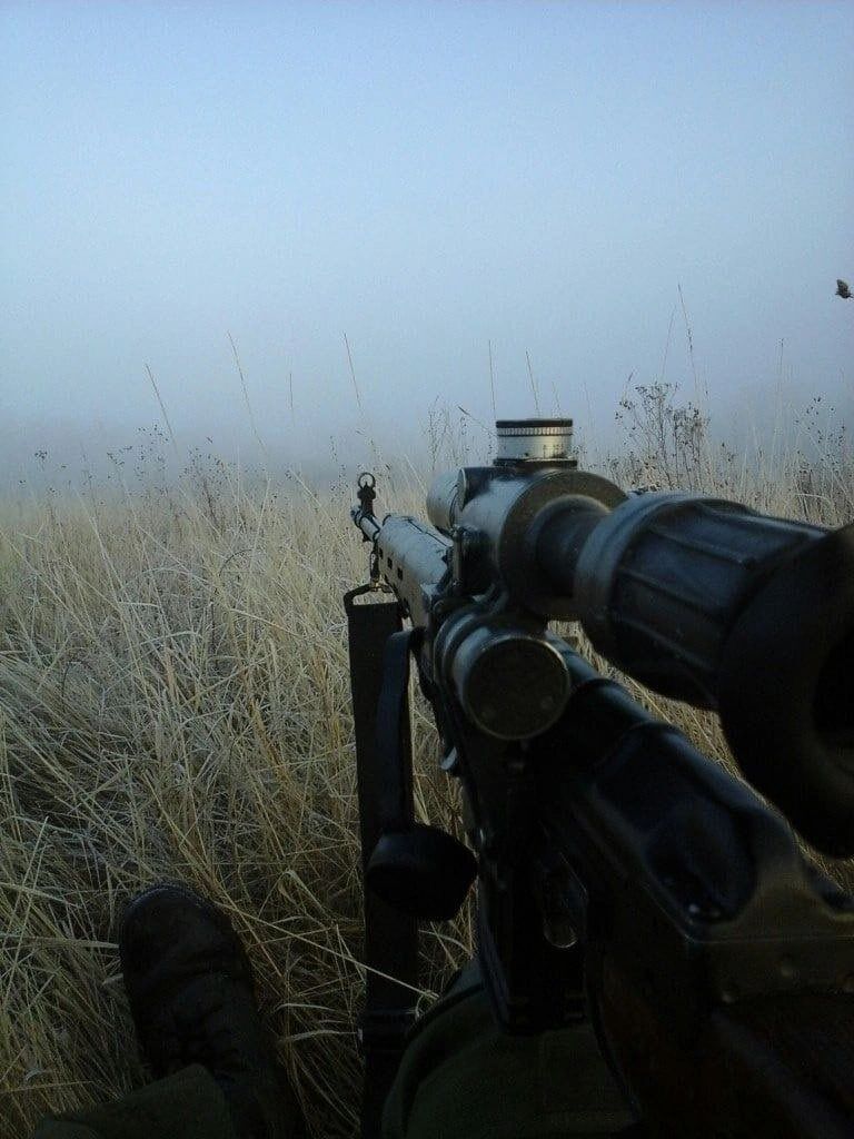 Image for the Tweet beginning: How you holding up? 